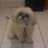 micheliu's profile image