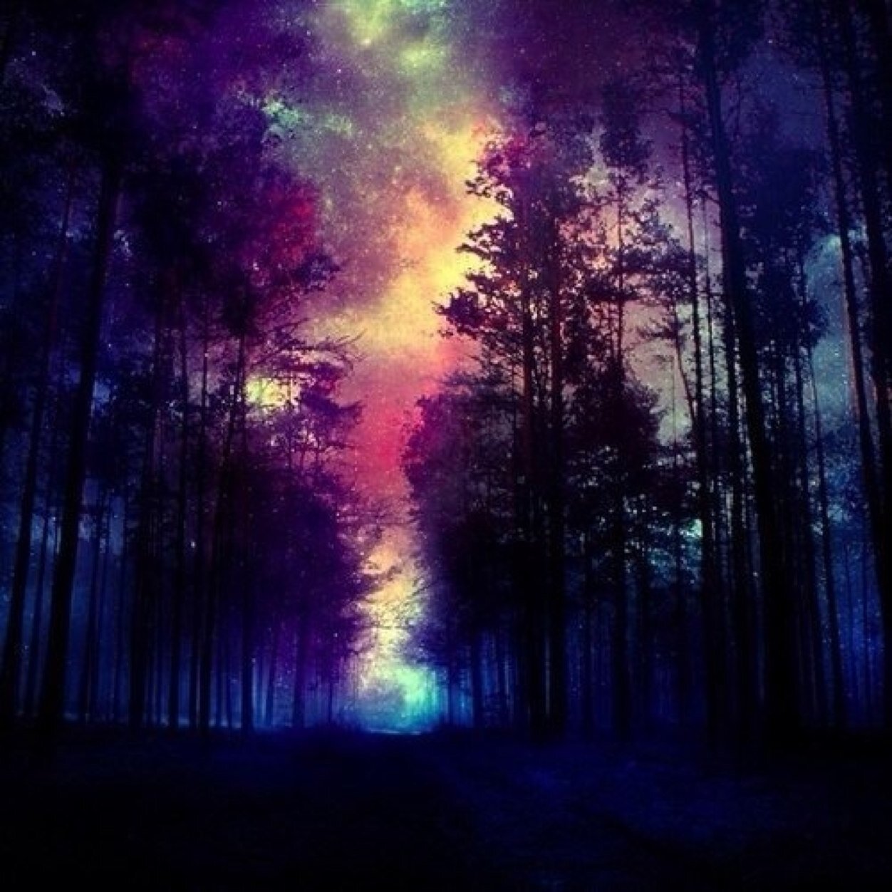 MichaelJin7's profile picture. 