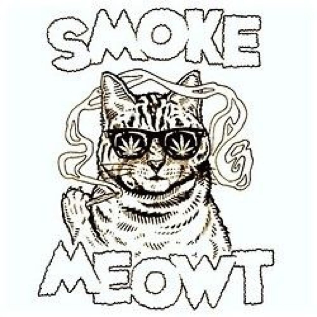smokemeowt right meow