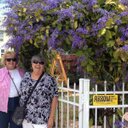 Barbara Shirk - @shirk_b - Twitter