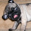 ashlee cunningham - @ashcunningham12 - Twitter