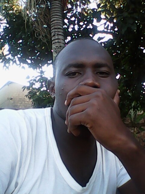 herberthoodk's profile picture. 