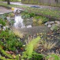 low impact landscapes is a landscaping company that specializes in storm water management and low impact development.