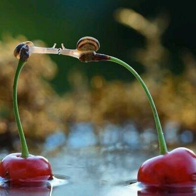 Ale_hope's profile picture. 