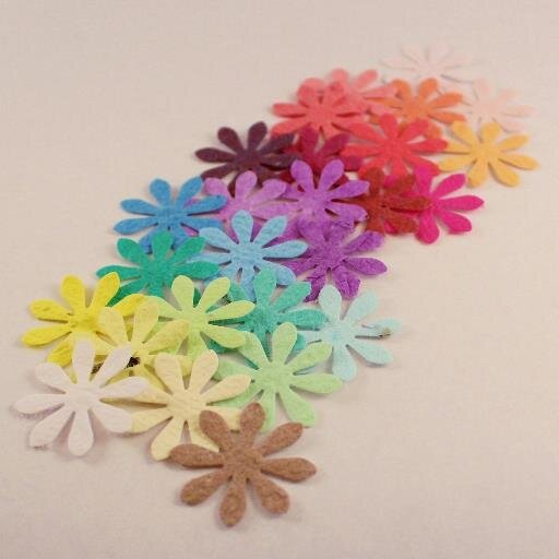 Eco Friendly paper products which grow into beautiful flowers.