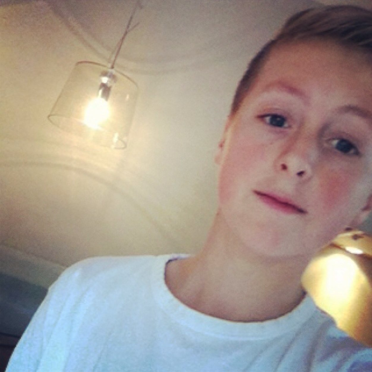 Hoevelaken