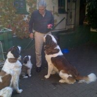 Ryk NeethlingSnr (@neethlingryk) 's Twitter Profile