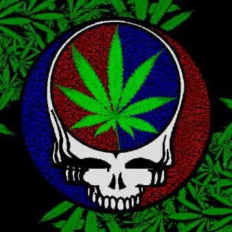 KennethMMJ's profile picture. Better living through cannabis. All use is medical use.