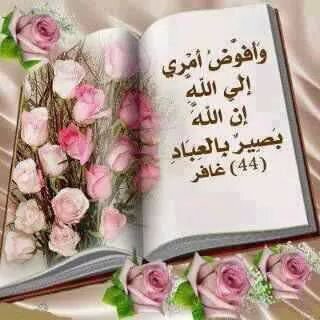 ‏‏‏‏‏‏‏‏وطني حتى الثماله لدي شيء من ثقافة 🇪🇬.