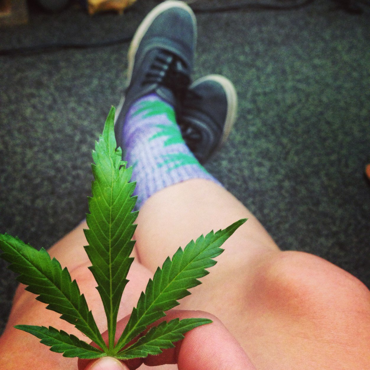 Herbavore❤ Tweet us using #stonerspeak and follow us on INSTAGRAM!