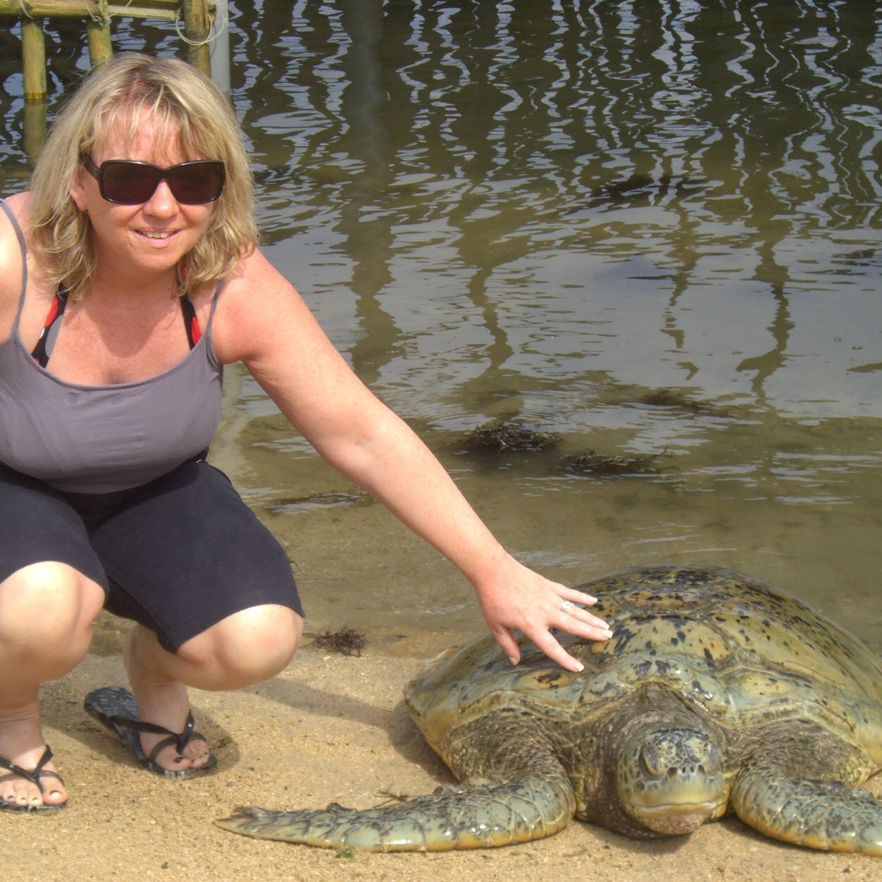 s60cal's profile picture. 