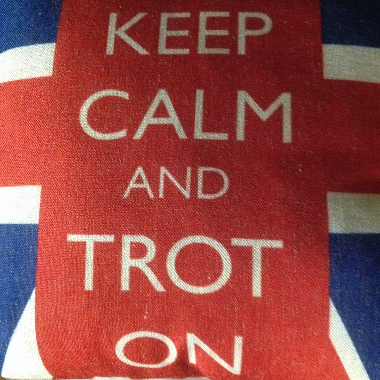 trotonnow's profile picture. 