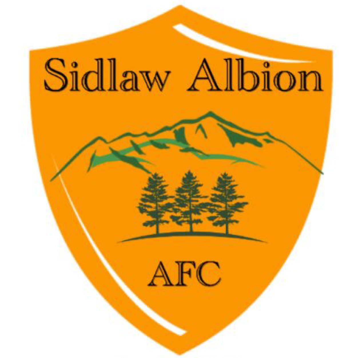 Welcome to Sidlaw Albion AFC's twitter page. We are an amatuer football team who play in the Trident Trophies League Division 2 in the DSMFL