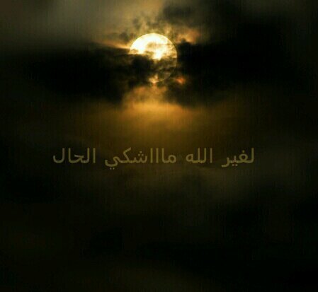 afab070's profile picture. هنا يوجد كل ما راق لي وليس كل ما اطرحه يعني انه شكى حالتي ولكن هناك اقتباسات قد يعجب بها غيري!((لغير الله ما نشكي الحال))