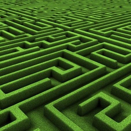 My husband has  been diagnosed with Mild Cognitive Impairment/ Early Alzheimer's, and I am finding my way through the maze day by day