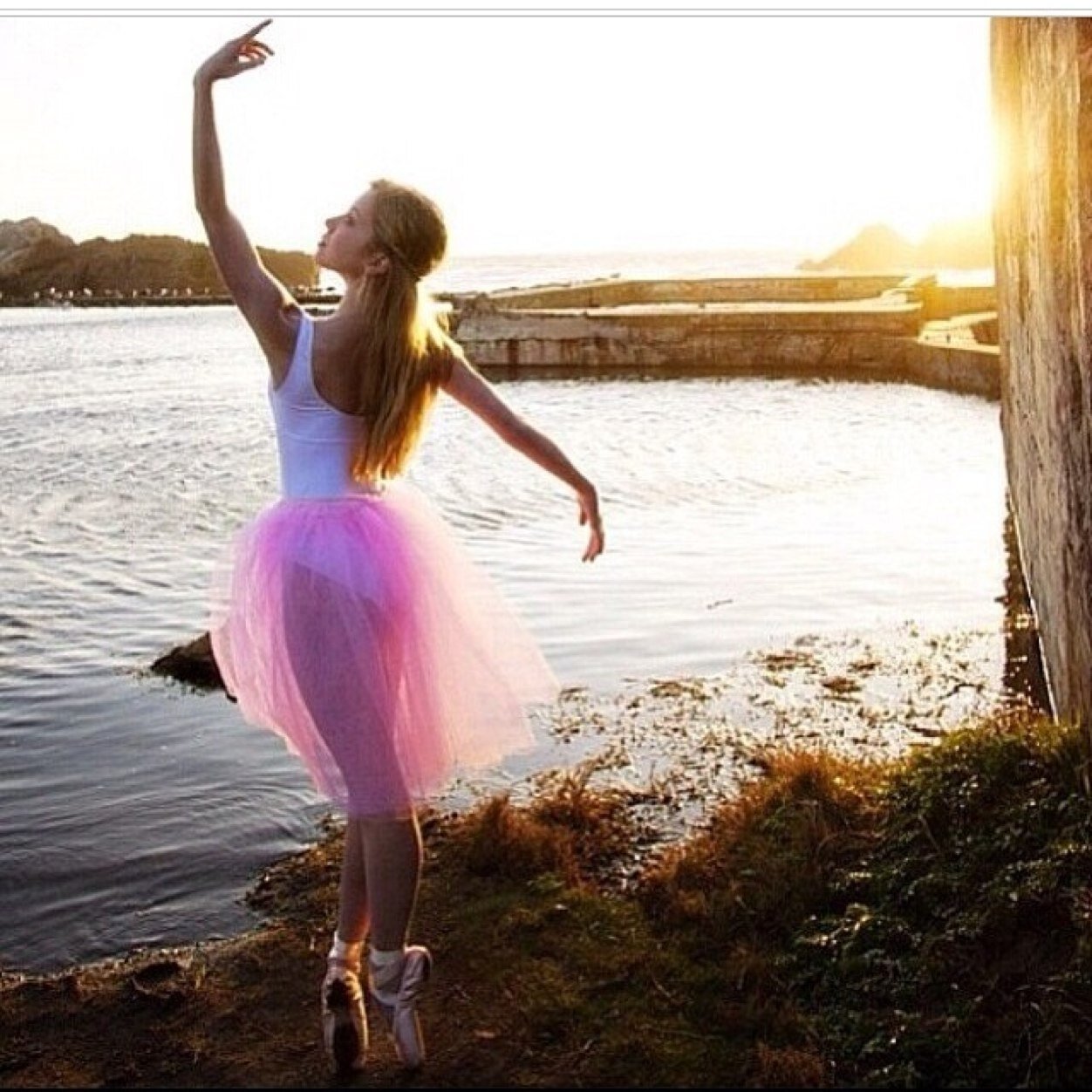 Heartdancers's profile picture. 