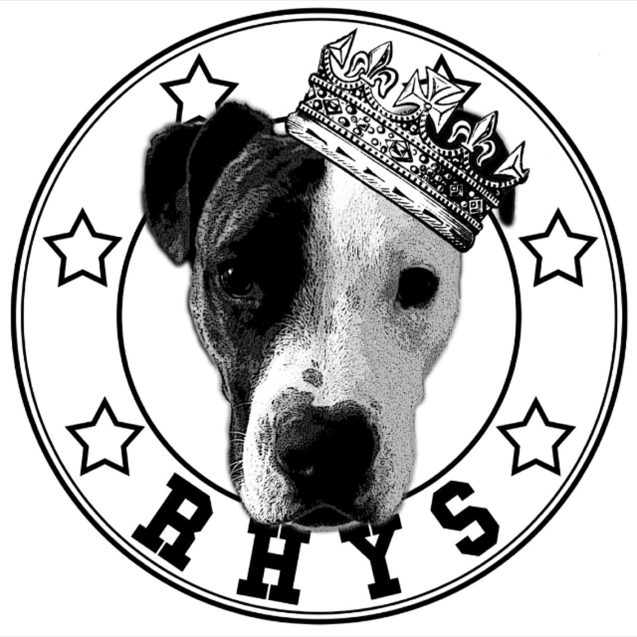 rhysthedog's profile picture. Actor. Intellectual. Sleeper. Dog.