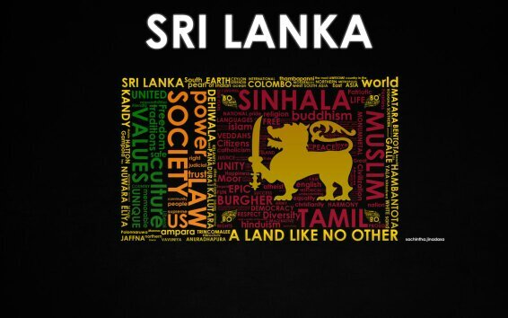 TheSenseCheck's profile picture. 