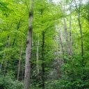 Robin Webber - @rlwebber4 - Twitter