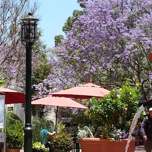 santabarbara_sa Profile Picture