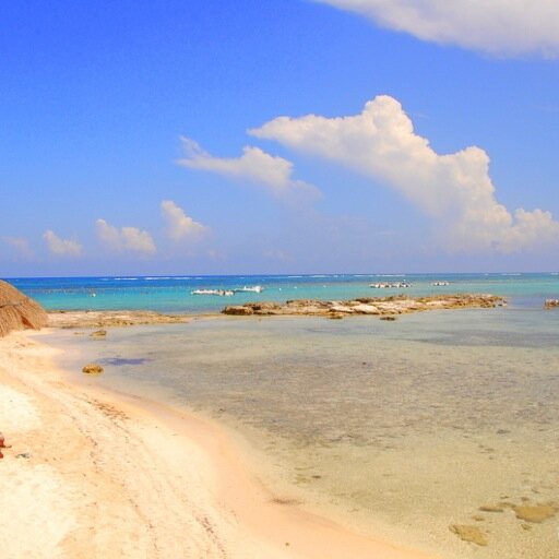 rosen1025's profile picture. 