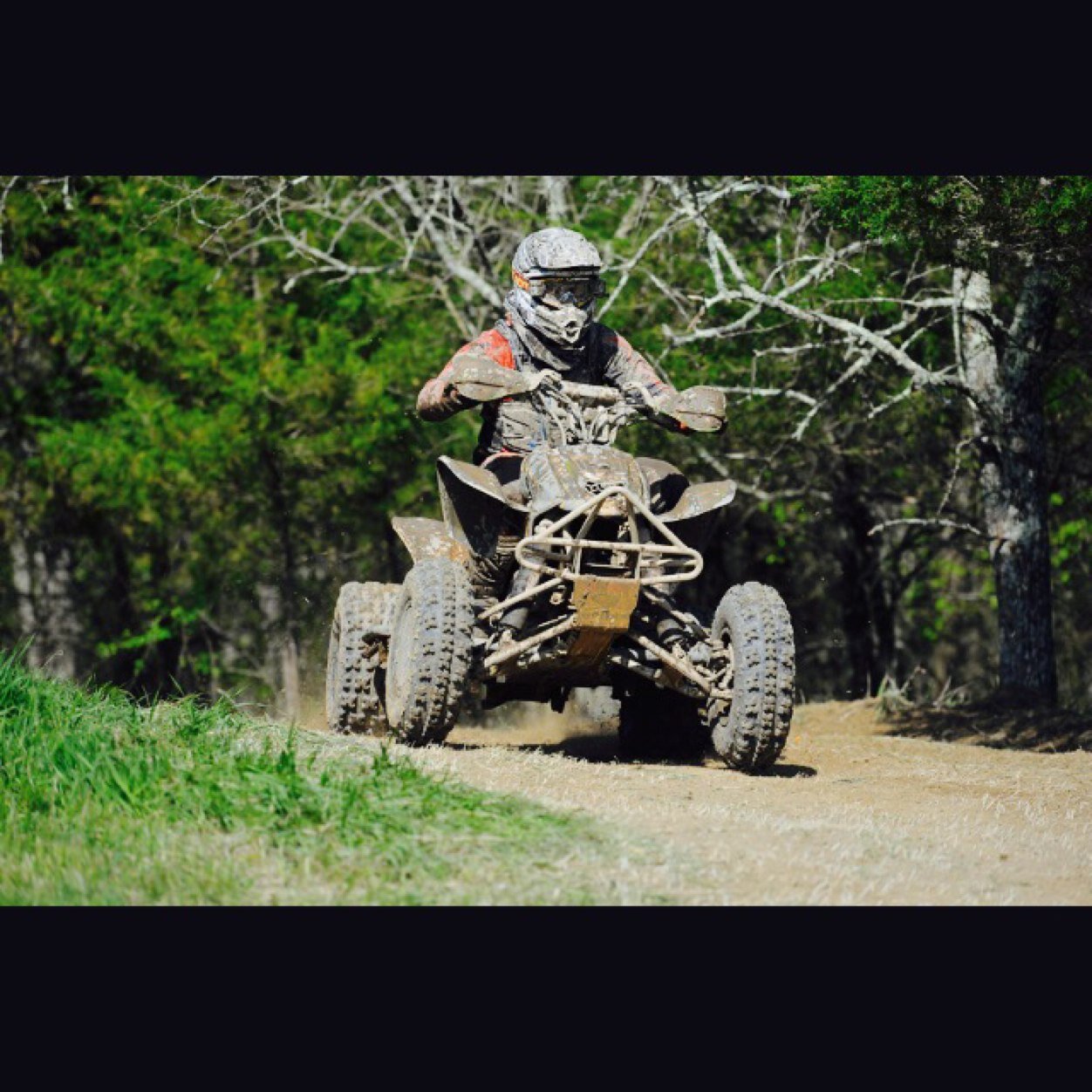 loganrhodes_444's profile picture. 