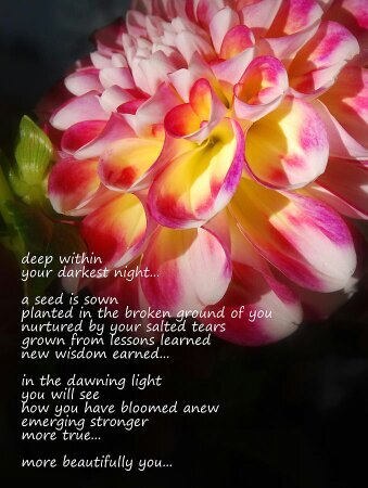 Hertelhawk's profile picture. 