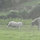 Evan Petruzzi - @PetruzziKid - Twitter