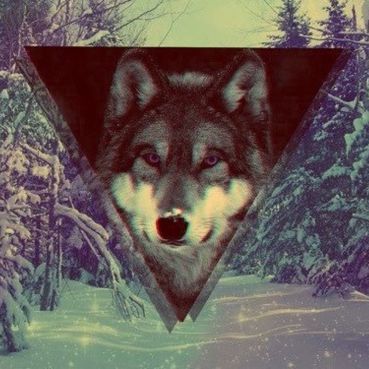 Living life to the fullest and not letting anyone get in my way #GoodVibeTribe #ThirdEyeTribe