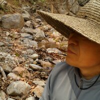 홍인 (@syt4296) 's Twitter Profile