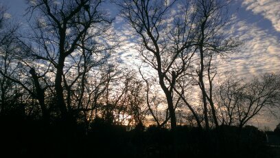 raytownpete's profile picture. Pete Jedlicka ,Father of 2, Like to under promise over deliver, triathlete in limbo, 78 inches including flowing hair, SCHS '93,