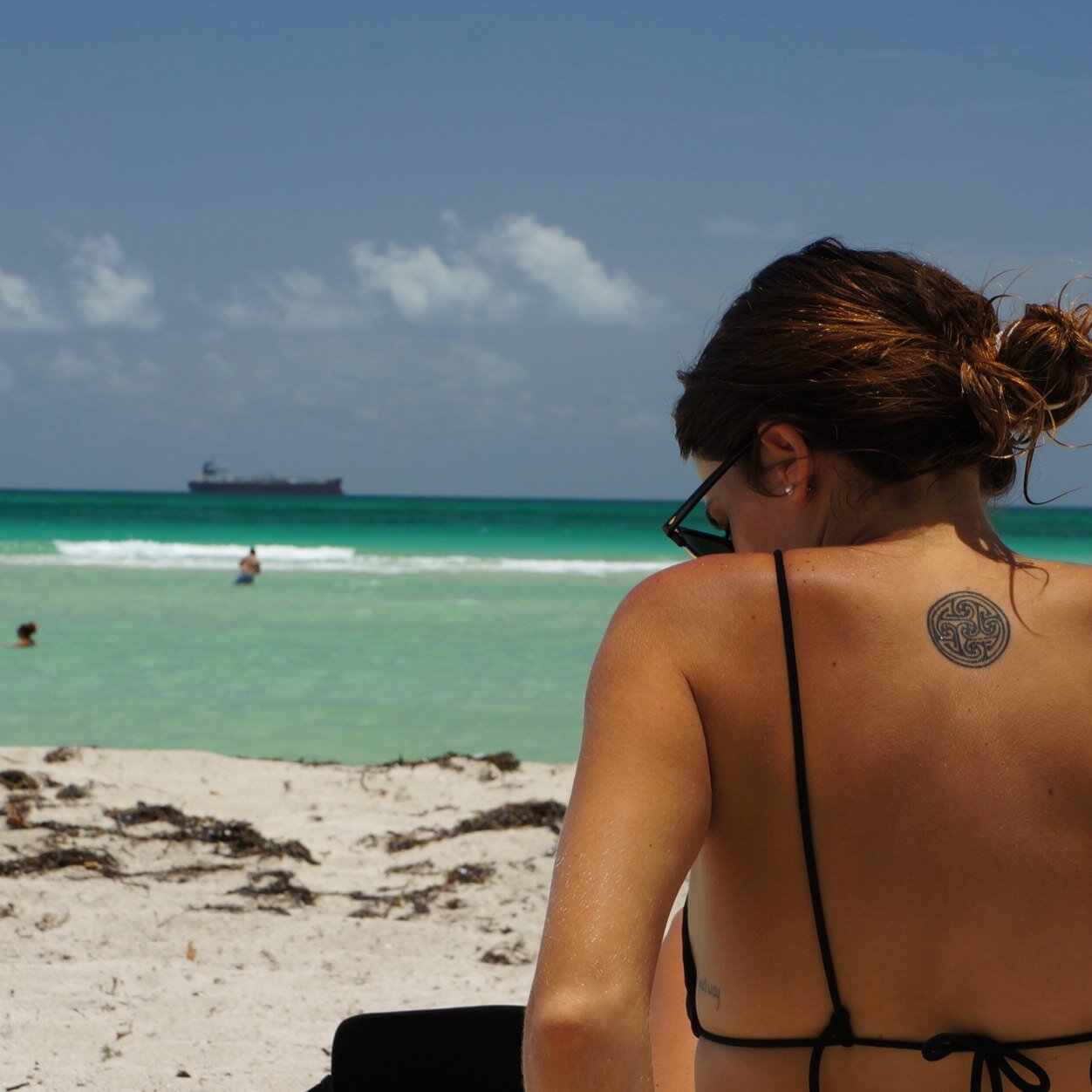 pazmigliore's profile picture. 