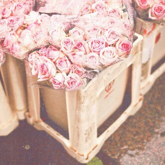 Zar8a_'s profile picture. 