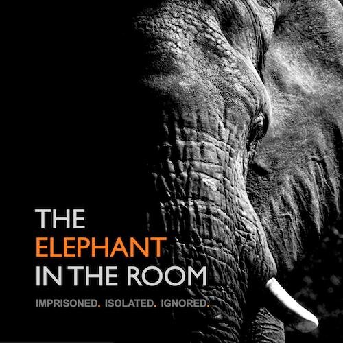 Award-winning short documentary uncovering plight of captive elephants in Europe: imprisoned, isolated & ignored. Narrated by BAFTA-winner Virginia McKenna OBE.