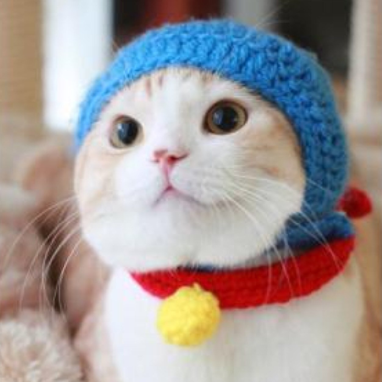 guratan1114's profile picture. 