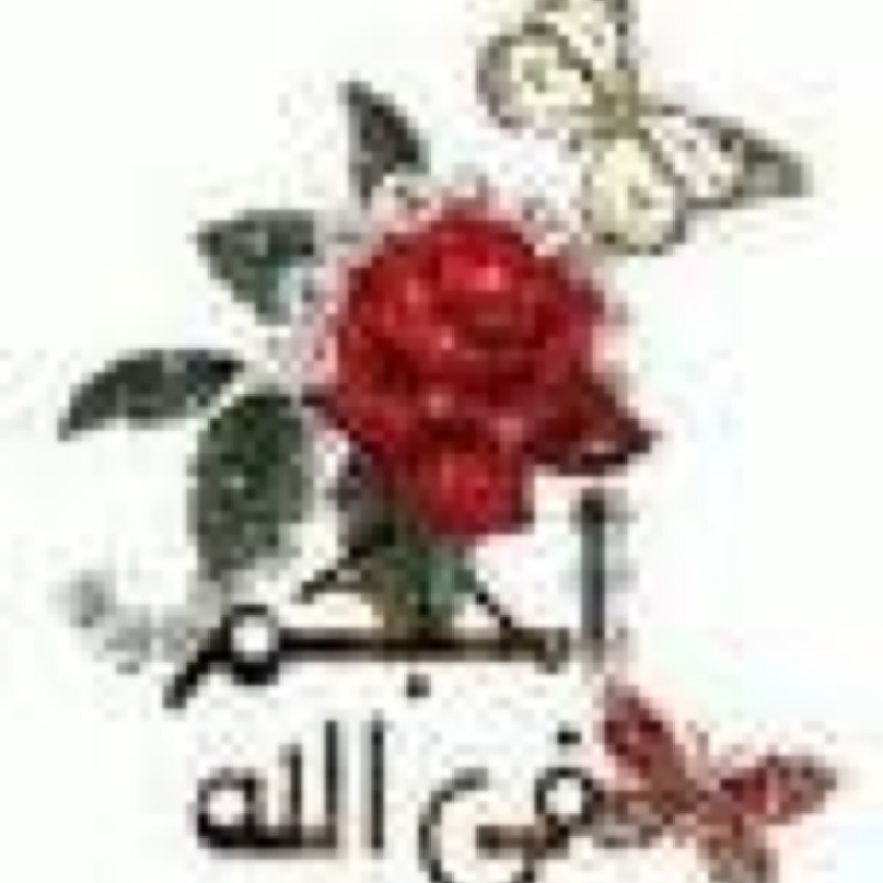 MNeinaa's profile picture. 