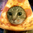 catpoopcoffee™