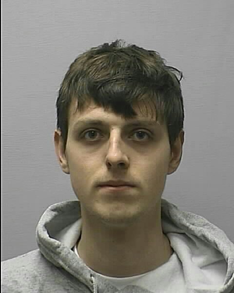 chesschamp's profile picture. 816