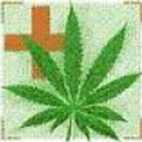 Елизавета Никуленко (@gask0nche) 's Twitter Profile Photo