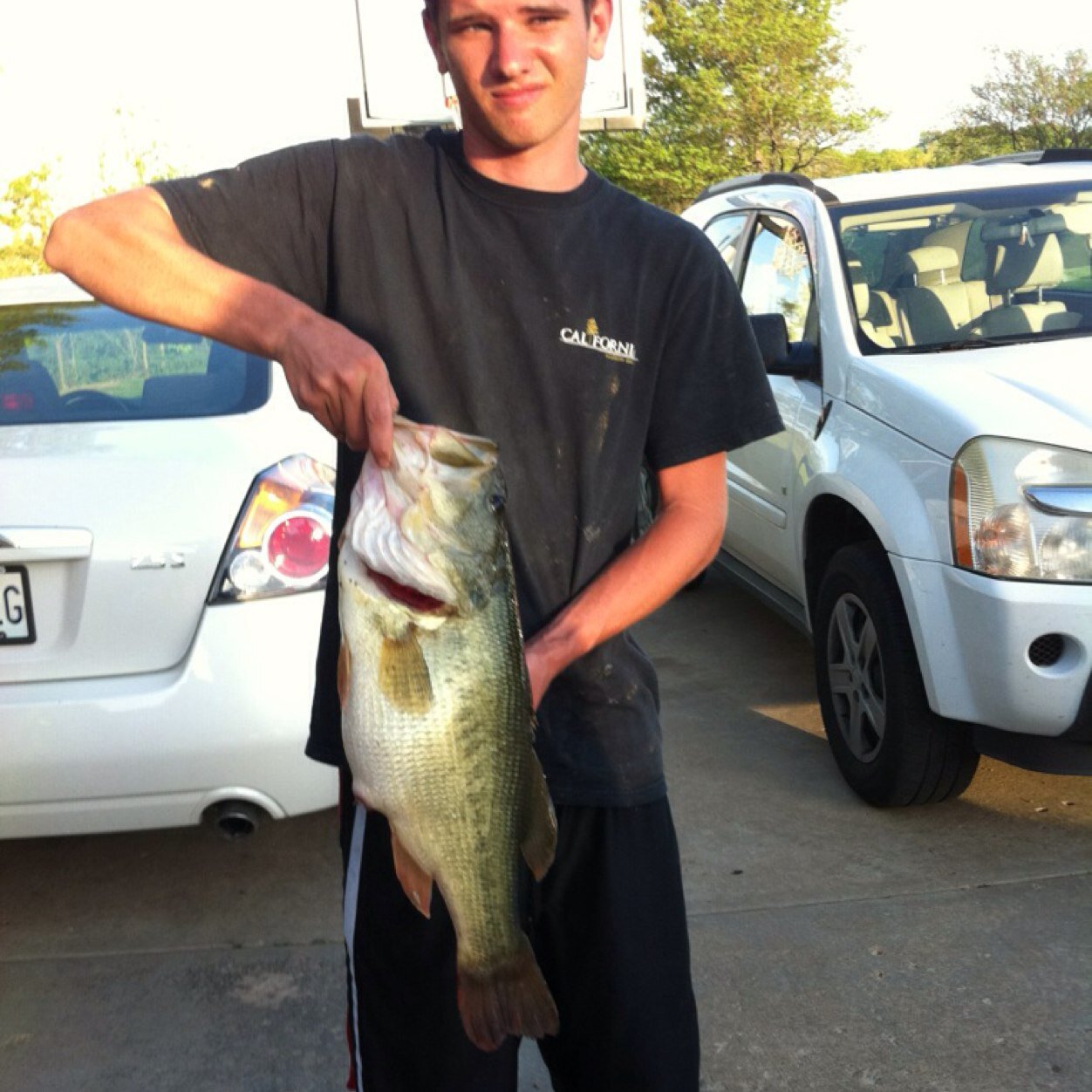 zachwalde's profile picture. 