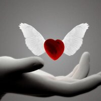 عاشق السوالب الكبار (@ffodoo) 's Twitter Profile