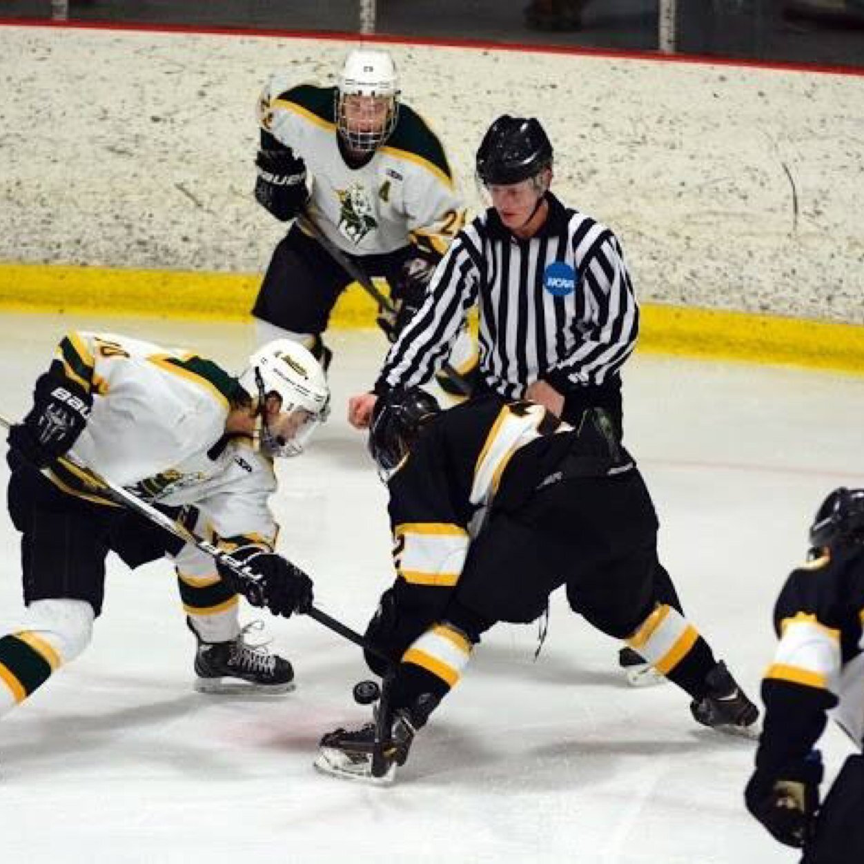 shanedillon21's profile picture. Owner of Dillon Construction LLC, College Hockey Referee, 3 dog family