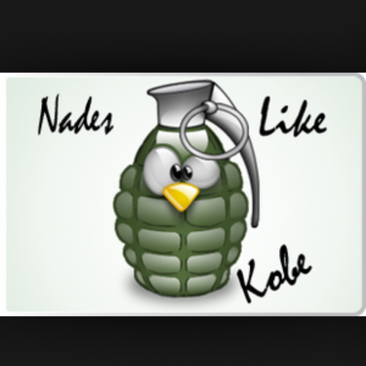 COD Pro Player | Inspired By @OpTic_NaDeSHoT | Systems: PS3,XB1|
F/A | No Sponsors | And trying to make COD a full time job.