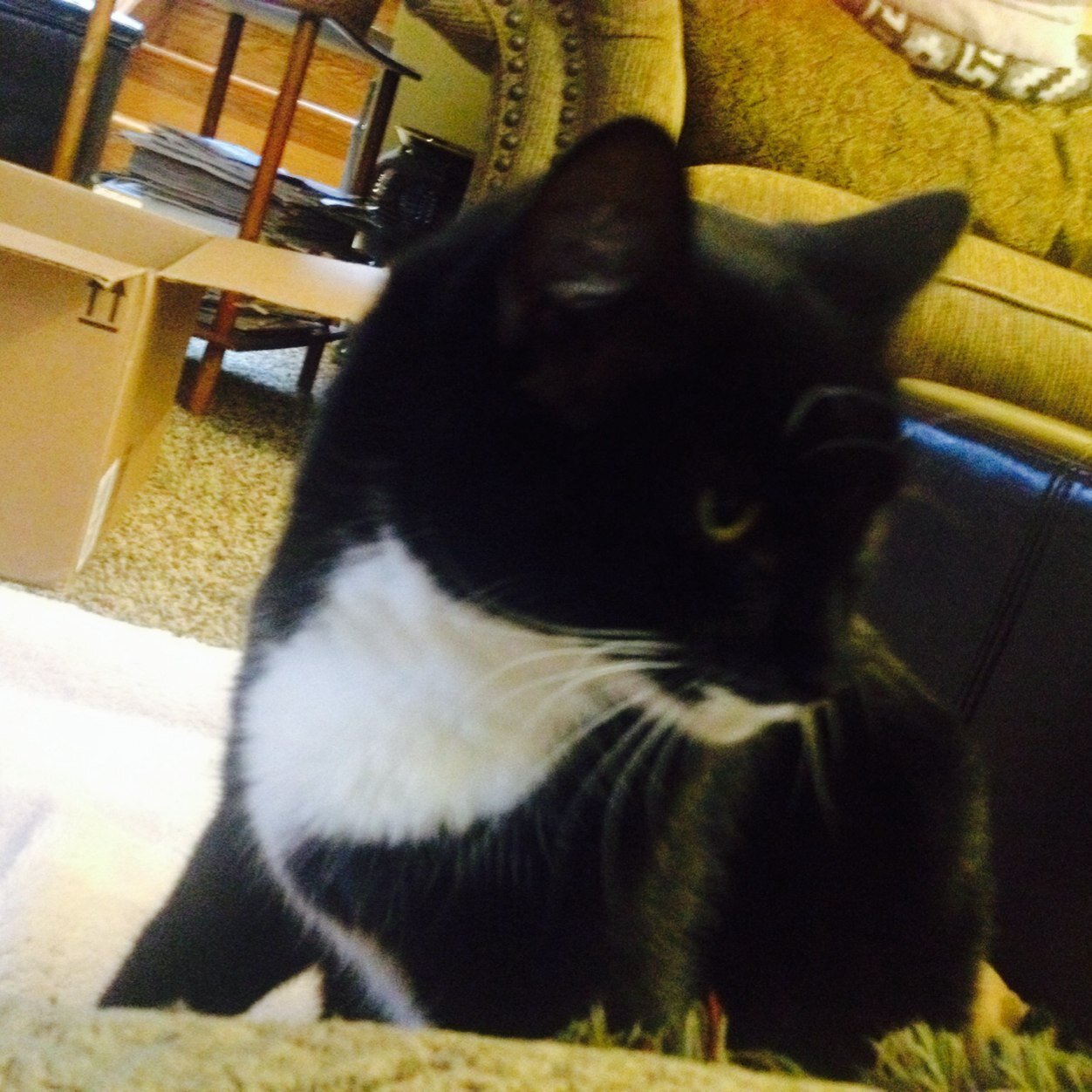 kristinbergin's profile picture. Health and Wellness Educator