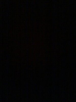 _letsaguiar Profile Picture