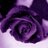tahra84's profile image