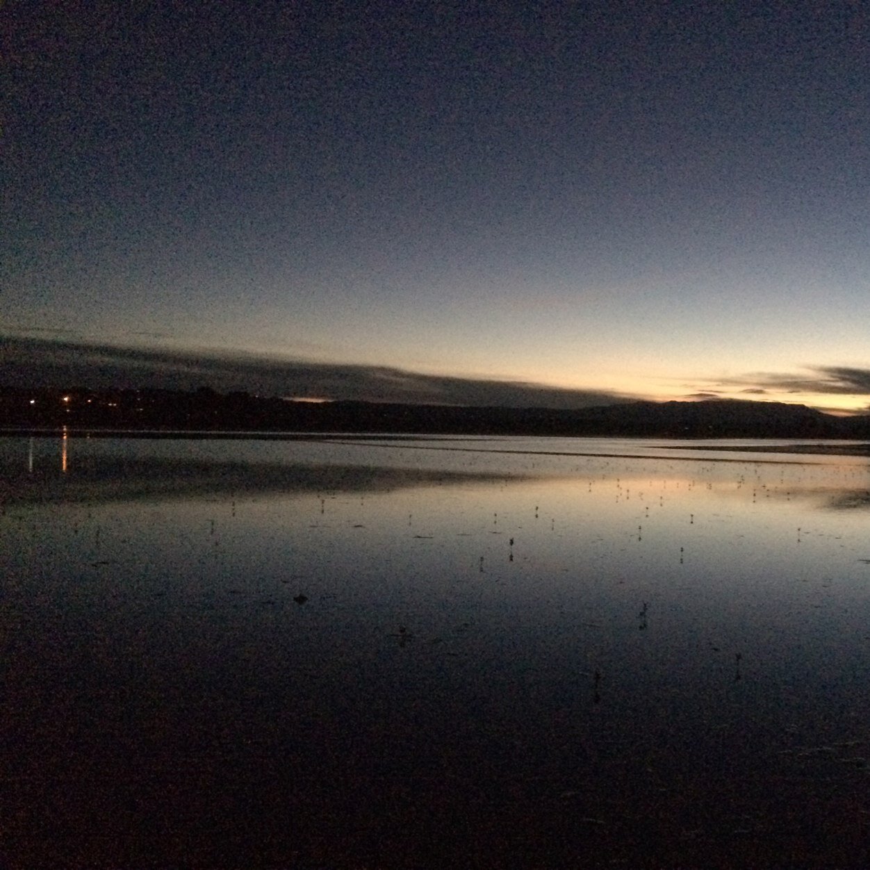 PaulFTreanor's profile picture. 