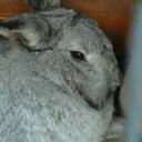 christopher woolford - @ChrisKarin1905 - Twitter