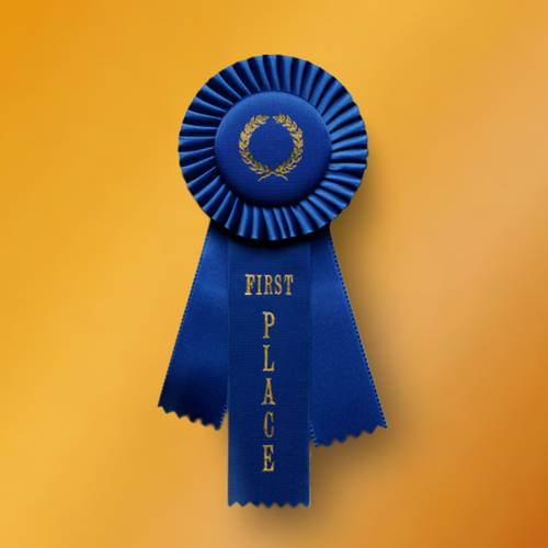 Welcome to The Amazing Contest. Are you a winner? Well, come on in :)