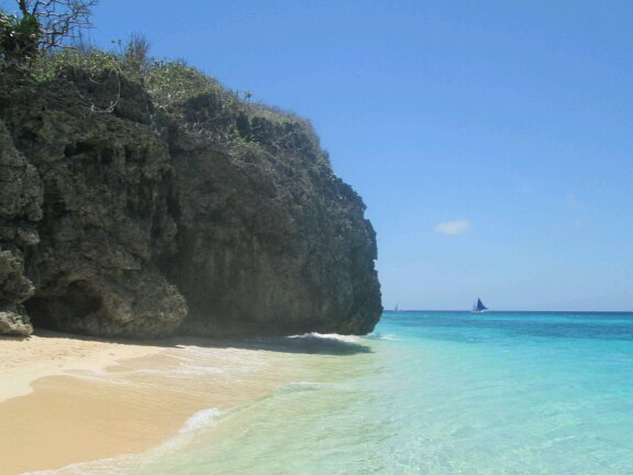 tmckitty's profile picture. 